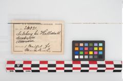 Etikett zu Eisentüllenmeißel (NHMW-PRAE-026821)